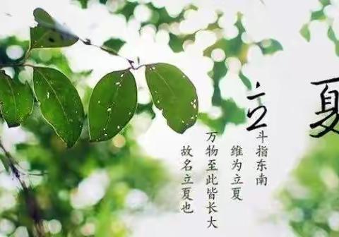 万物生长，邂逅立夏