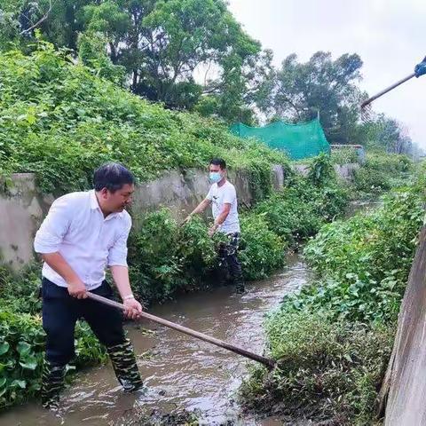 锦山镇：党建引领“六水共治” 共建美丽锦山