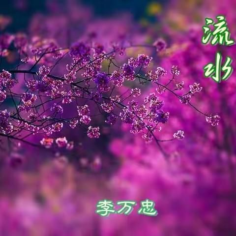 流水带走的不止光阴