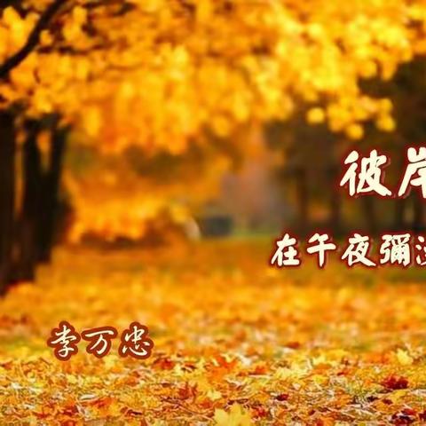 彼岸 · 在午夜弥漫