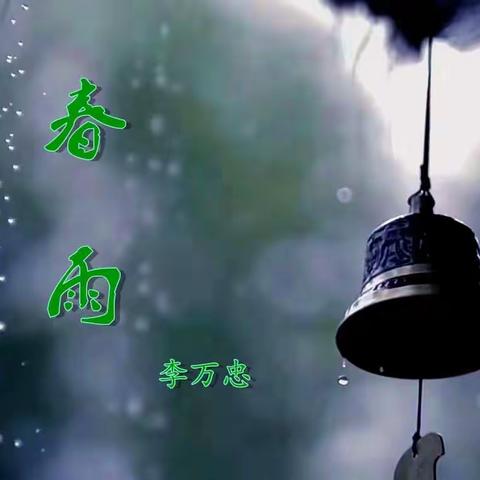 春  雨
