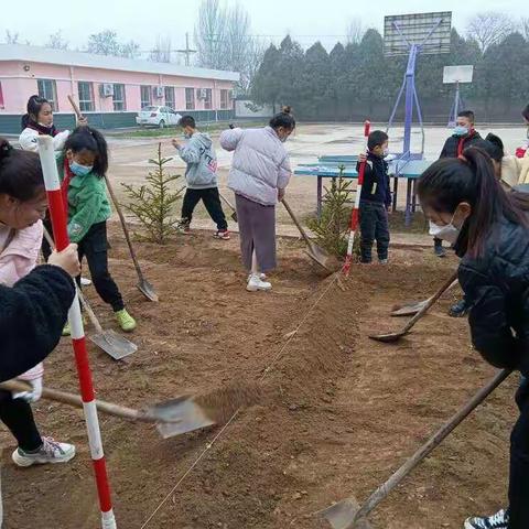 美化校园，菜地乐趣多