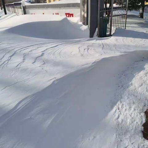 暴雪肆虐     情暖寒冬