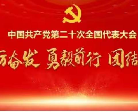 红星学校小语组开展学习《习近平总书记在中国共产党第二十次全国代表大会上的报告》研讨交流活动简报