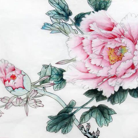 2022年春季班学生作业展