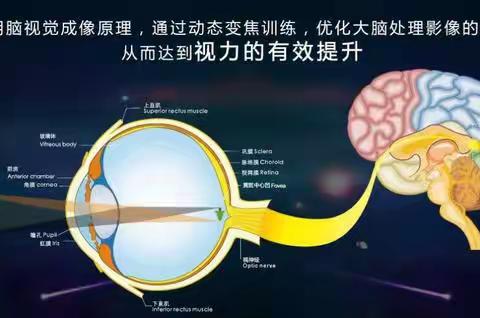 是真是假！什么是视力矫正？近视眼还可以恢复吗