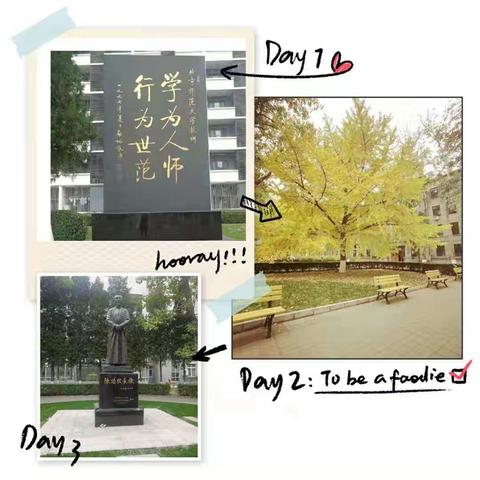 遇见京师  不负流年——小学语文一班