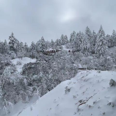 2023瓦屋山玩雪