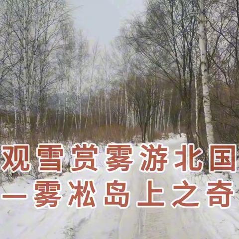 观雪赏雾游北国——雾凇岛上之奇观