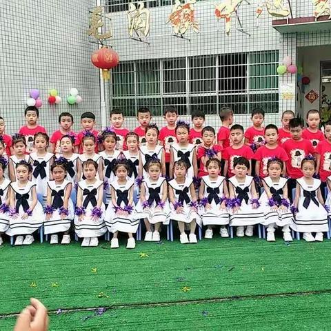 绿色心情的美篇