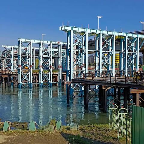 《 “兔”年初一的遐想 》-2023.01.22