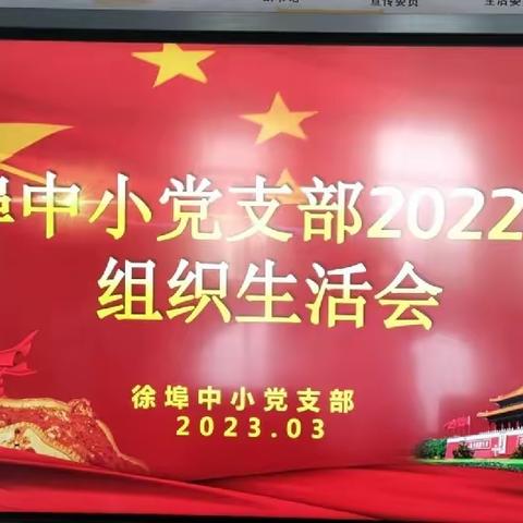 徐埠中小党支部召开2022年度组织生活会