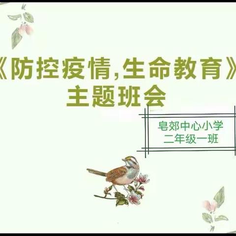 《疫情防控、生命教育》——“抗击疫情，我们一直在行动”皂郊中心小学二一班主题班会