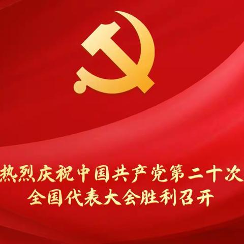 金林区税务局组织集中收看党的二十大开幕会