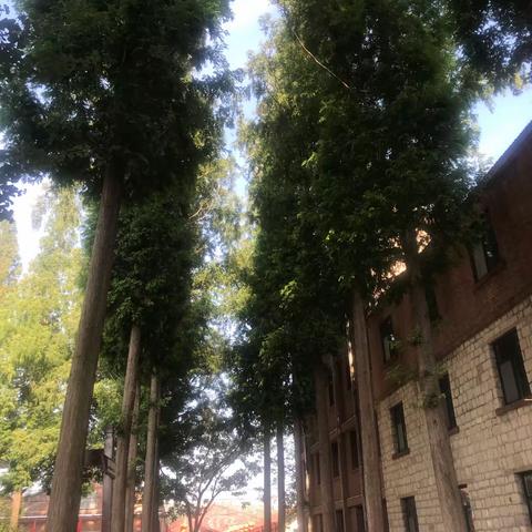 分别不是结束，而是新的开始。