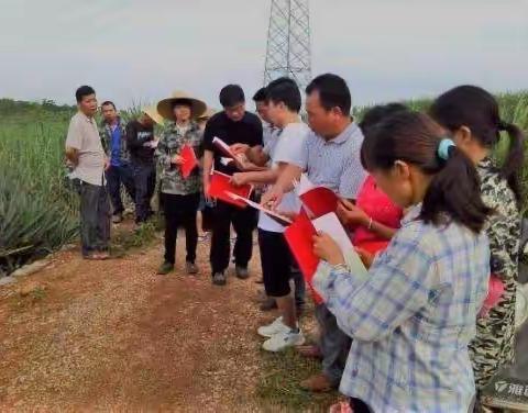 【灵宝农业】农村土地承包经营权确权登记颁证政策宣传（十一）