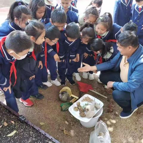 在劳动中学习和成长