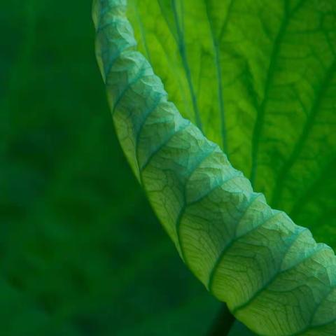 溪头小学2022年端午节安全教育告家长书