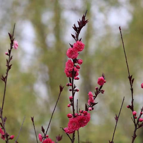 平凡人生中的“浪花”