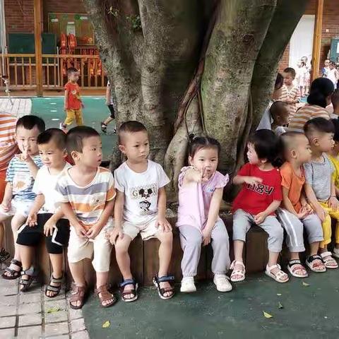 我在幼儿园的一些日常