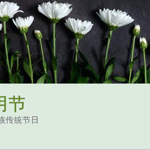 文明祭祖，防疫防火