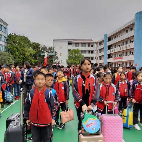 研学旅行增见识，寓教于乐促成长—交通路小学1705班研学旅行记