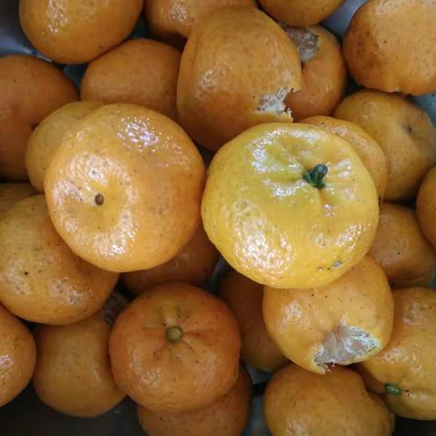 宝贝们在园的开心时刻