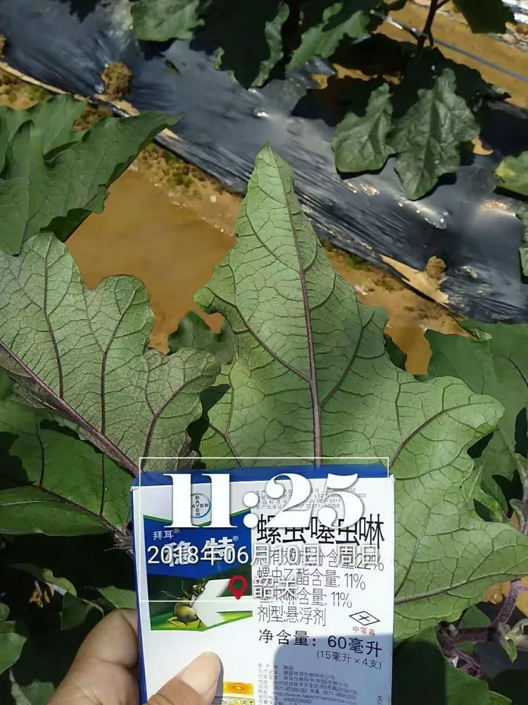防治粉虱,防控蓟马,螨类,我选稳特!