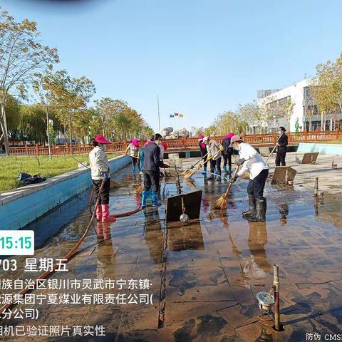 寒风中的铿锵玫瑰