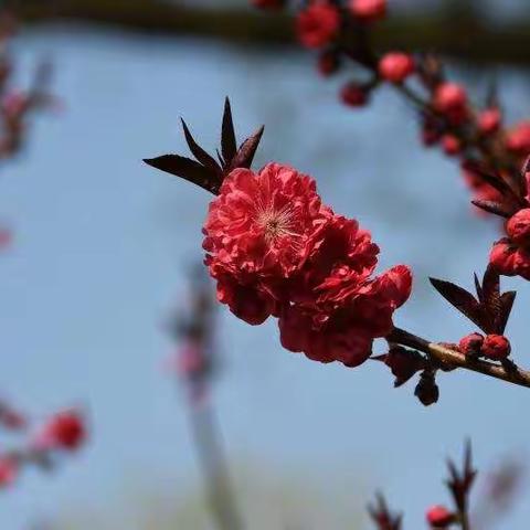 "疫”路有你，终将春暖花开。——我们在一起