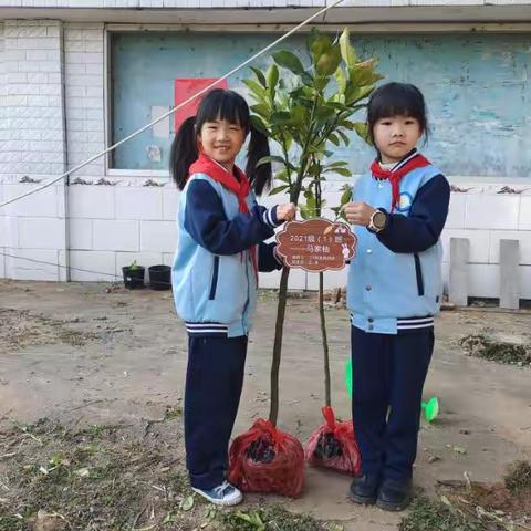 【拥抱春天，共建绿色校园】—河北小学“3·12”植树活动