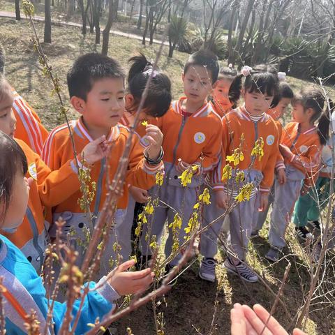 爱在春天 乐在自然