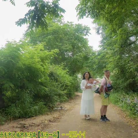 少年，你要悄悄地拔尖，然后惊艳所有人（转给孩子）——2022年8月