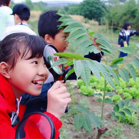 借助自然的力量 挖掘自身的潜能——记四（4）班亲子活动