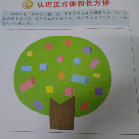 京师杜甫幼儿园线上课程——数学《认识长方体和正方体》