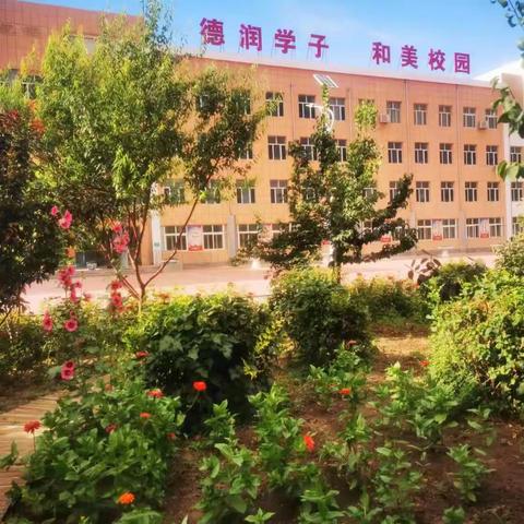 “践行使命担当，续写青春华章”天山第四中学2023年暑期综合实践纪实——环保篇（八）