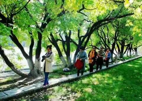 钟灵毓秀润秋色 鸾凤翔集拍繁华