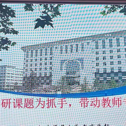 专家讲座授真经，笃行反思求提升-----听苗学杰教授《以科研课题为抓手，带动教师专业发展》讲座感悟