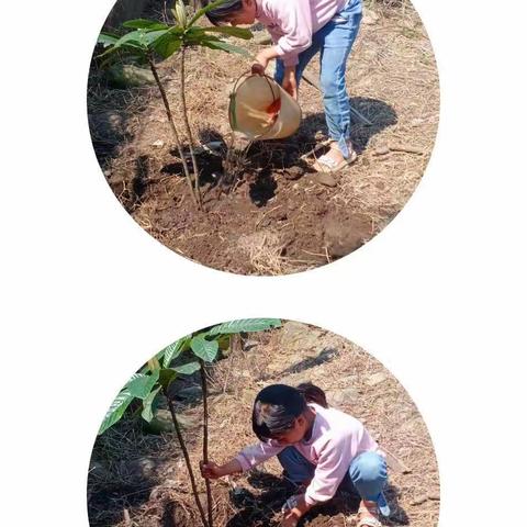 【德育育人】界头镇中心小学二年级第二中队一一我为祖国添新绿