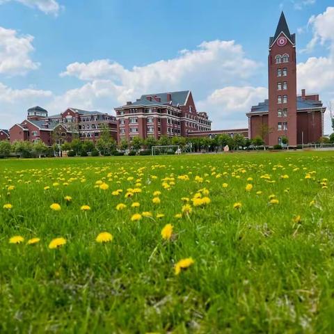 一花一世界，一季一风景——美佳少年“校园花圃”种植体验之旅