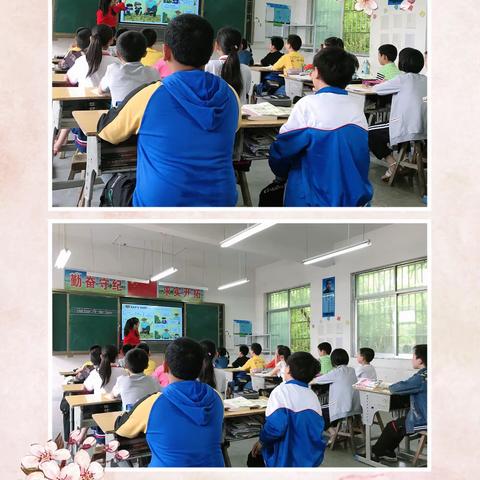 【杨湾小学】青年教师赛课活动