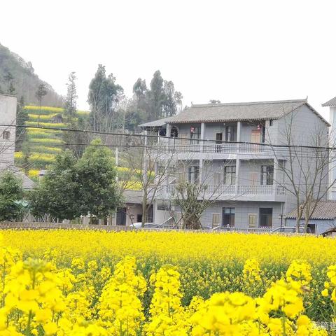九龙街道关塘华云山庄火把节特惠套餐活动