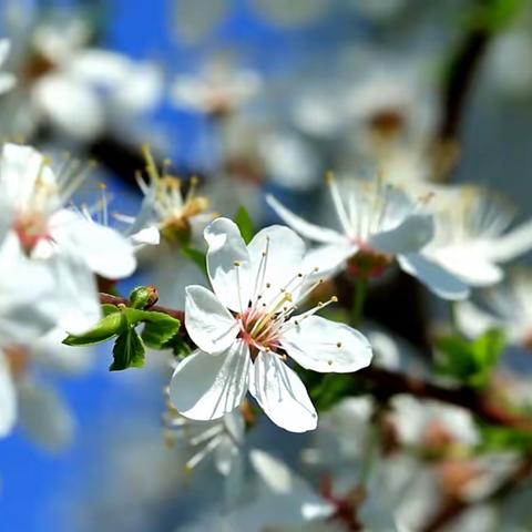 风雨无阻取餐忙 热饭热菜暖人心