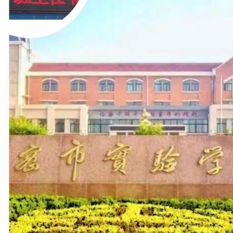 交流互鉴齐进步，凝心聚力共精彩——醴泉实验学校低学部班主任论坛纪实