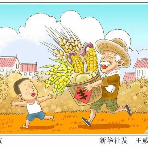 🥰大十班🥰，我们丰收啦，——毛豆 花生🥜历险记