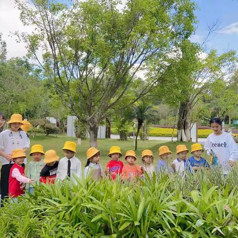 “精彩课堂一一共同成长”思茅区稚慧园公开课美篇