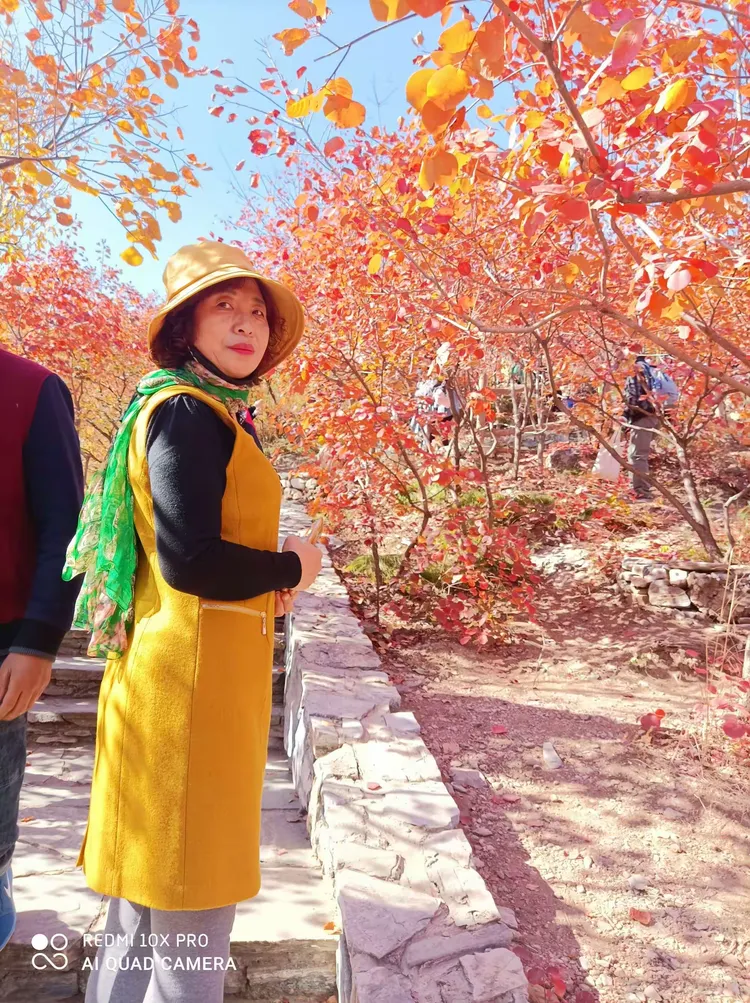 周口东湖相亲网站官网_1969年10月23日是什么命 周口东湖相亲网站官网_1969年10月23日是什么命