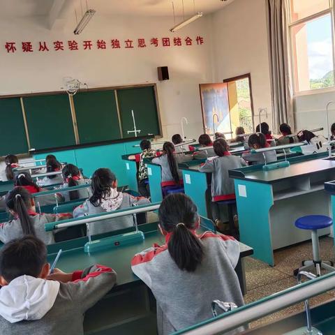 改写句子我能行——记乐竜明德小学语文学科活动