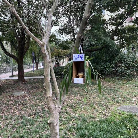 小鸟餐厅——海曙外国语学校207班 曹渲彬