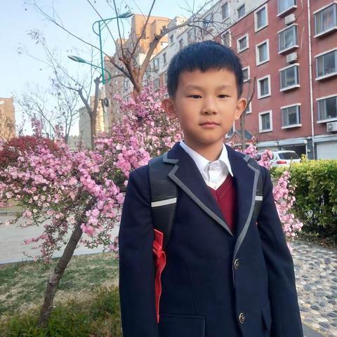 讲数学故事，品数学文化——数学家欧拉的故事